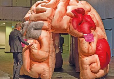 A visitor touches an inflatable brain during the Innovation for Health conference,in Rotterdam, Netherlands to illustrate Dutch fear brain drain as early career research grants axed