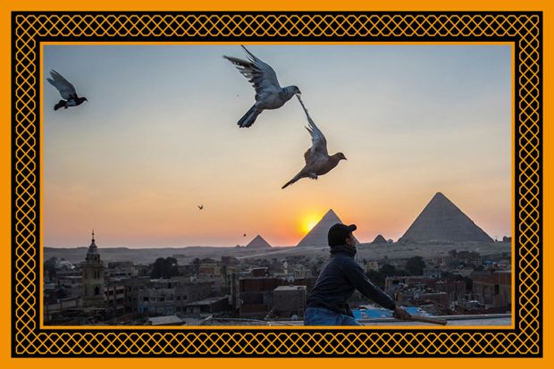 A man releases pigeons backdropped by the Giza pyramids in Egypt. To illustrate the rising of Egyptian universities in the Arab University Rankings 2024