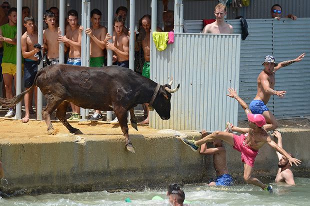 A bull forcing people to jump in to the sea, Denia, Spain. To illustrate postdocs attracted by the María Zambrano programme not being retained in positions in Spain.