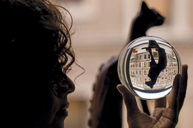 Cat reflected in a glass ball