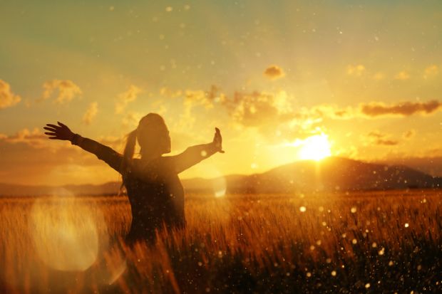 A woman in a wheatfield at sundown