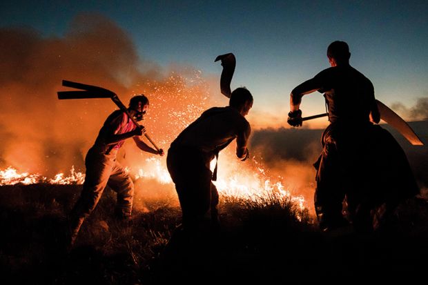 Firefighters tackle a wildfire by beating it. Used to illustrate whether the OfS has the right tools to tackle the challenges faced by the university sector.