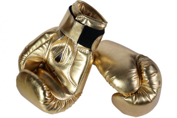 Leaders best sale boxing gloves