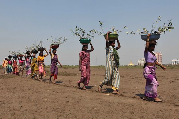 Women carrying mangrove saplings for planting in barren land in Charkop village, Kandivali in Mumbai. To illustrate UK universities looking to set up branch campuses in India.