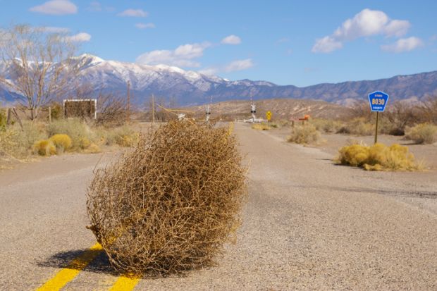 Tumbleweed blows across a desert highway