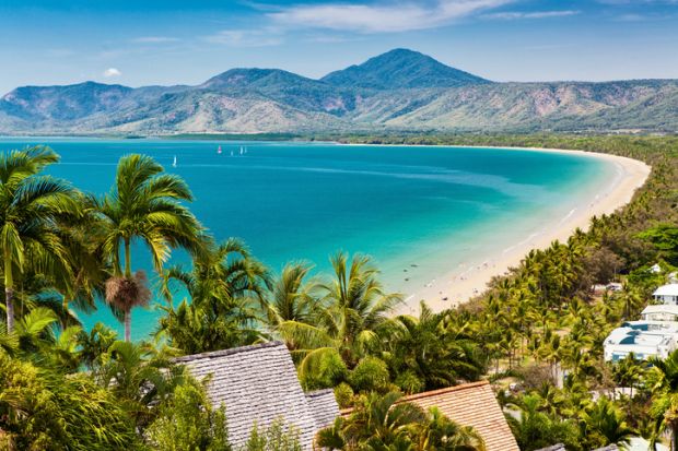 Queensland beach tropical sunny Port Douglas