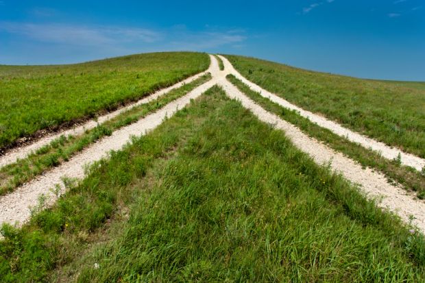 Two tracks in a field merge into one, illustrating mergers