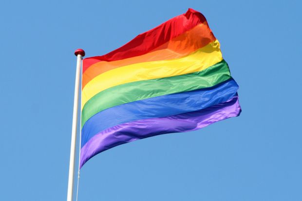 what does the gay flag look like