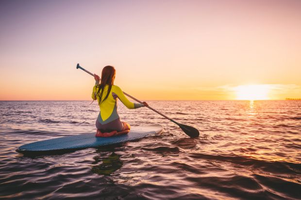 Paddle board