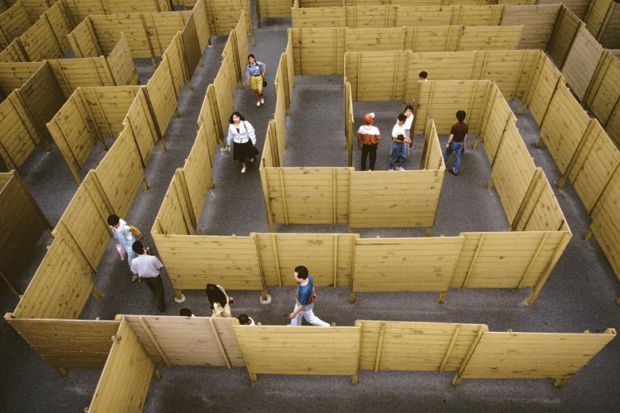 People walking through maze of wooden fences