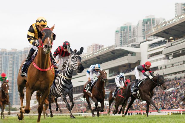 zebra horse race movie