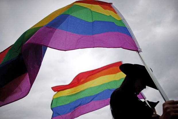 Rainbow flag at a rodeo