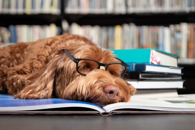 A dog with glasses sleeping on a book, symbolising reviewer fatigue