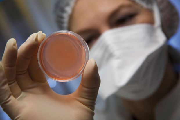 Scientist holding a petri dish