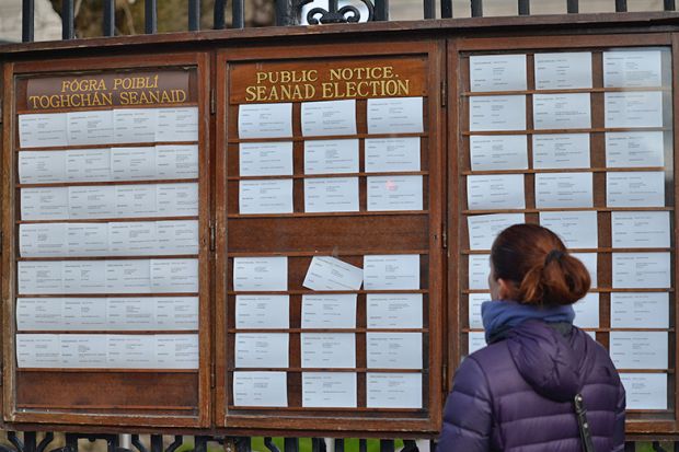 A women is looking at the Seanad Election public notice at the Leinster House fence, Ireland.