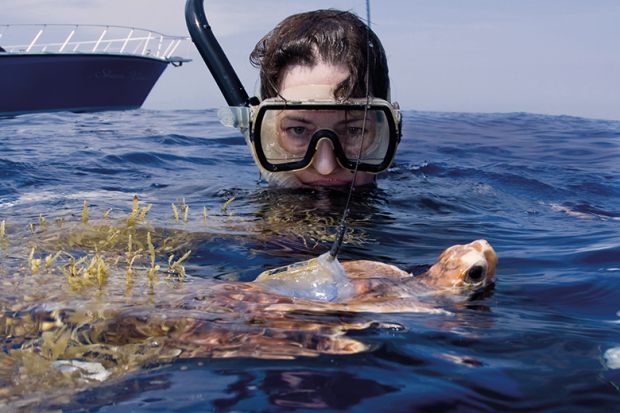 Snorkelling