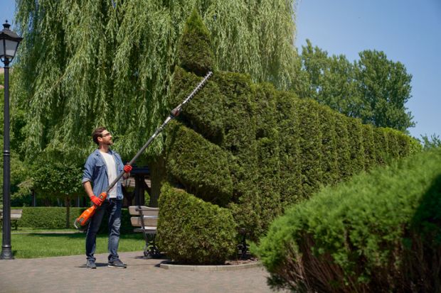 A man trims his hedge into a shape, symbolising strategic cuts