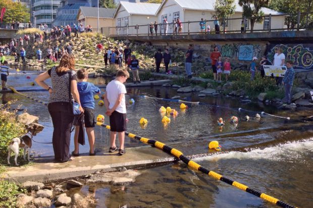 Annual charity duck race held in Dunedin, NZ to illustrate New Zealand seeks to drive up degree completion rates