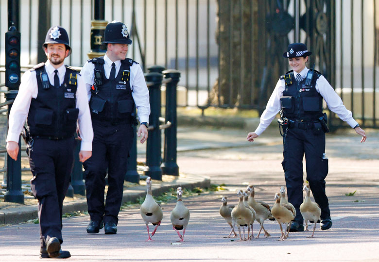 England Set For Student Number Controls Plan Times Higher Education THE   Web The 060723 P10 Round Up  Getty Images 