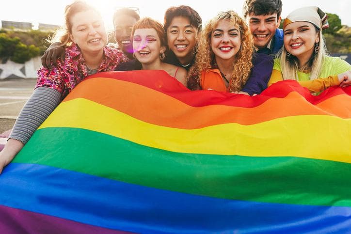 Young diverse people having fun holding LGBT rainbow flag outdoor /istock
