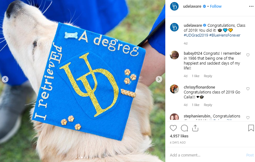 University of Delaware Hats, University of Delaware Caps